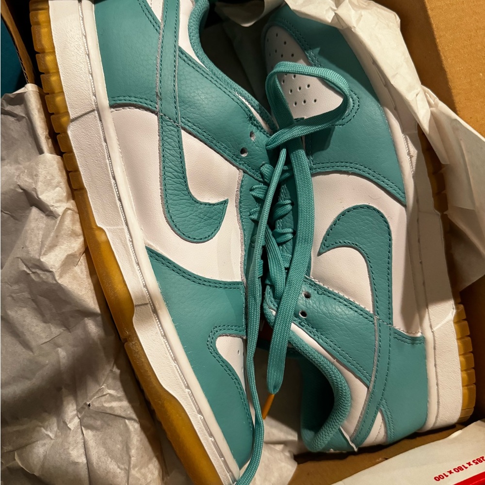 Brand New Nike Teal Dunks low